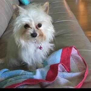 Meet your Posher, Lene